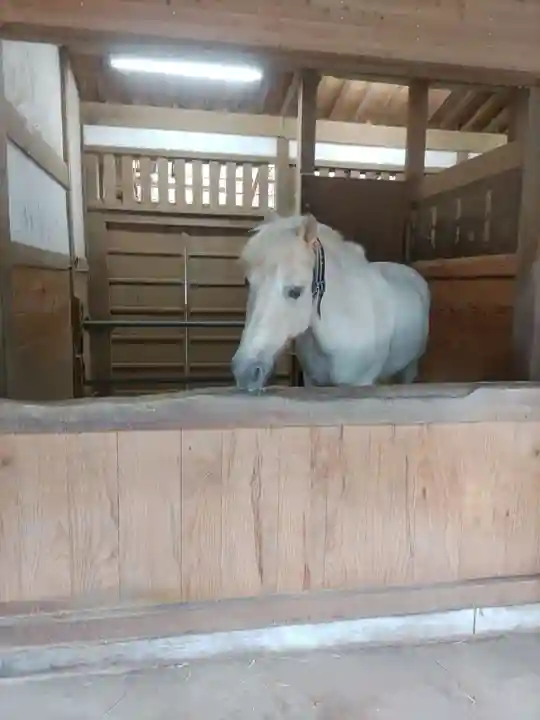 金刀比羅宮の動物