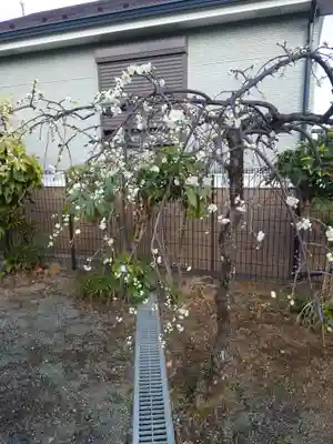 山角天神社(神奈川県)