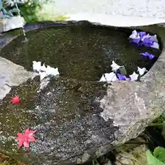 鹿島大神宮の手水