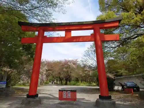 平野神社の鳥居