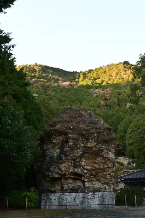 善福寺(山田薬師)(愛媛県)