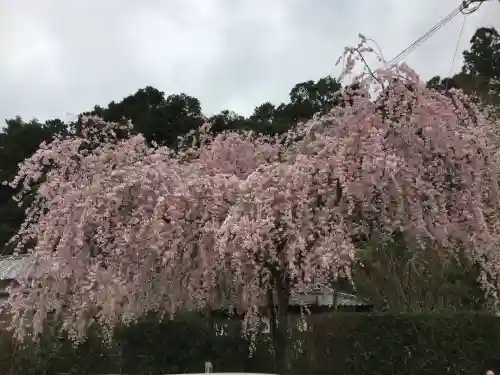 大野寺(奈良県)