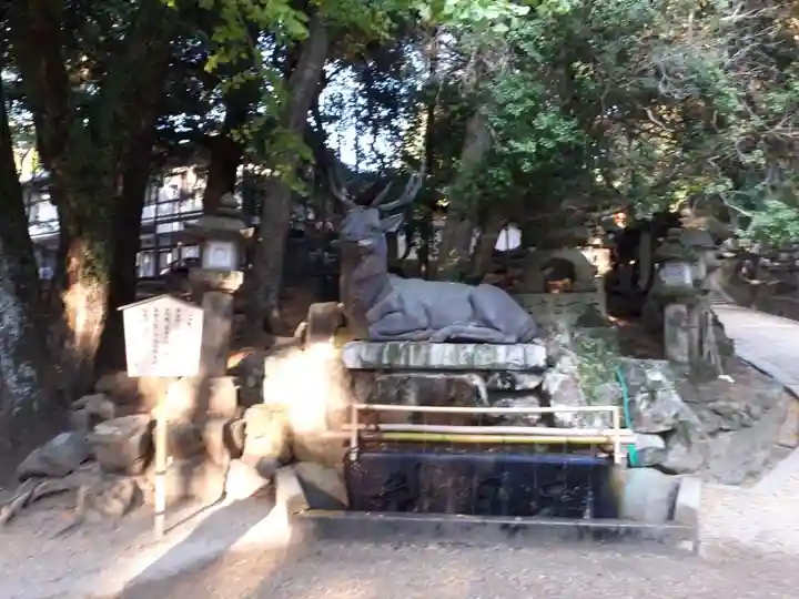 春日大社の手水舎