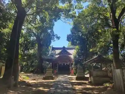 伊豫神社の本殿