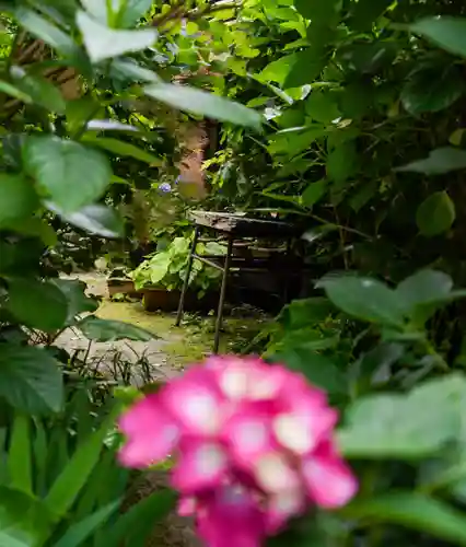 東大寺別院阿弥陀寺(山口県)