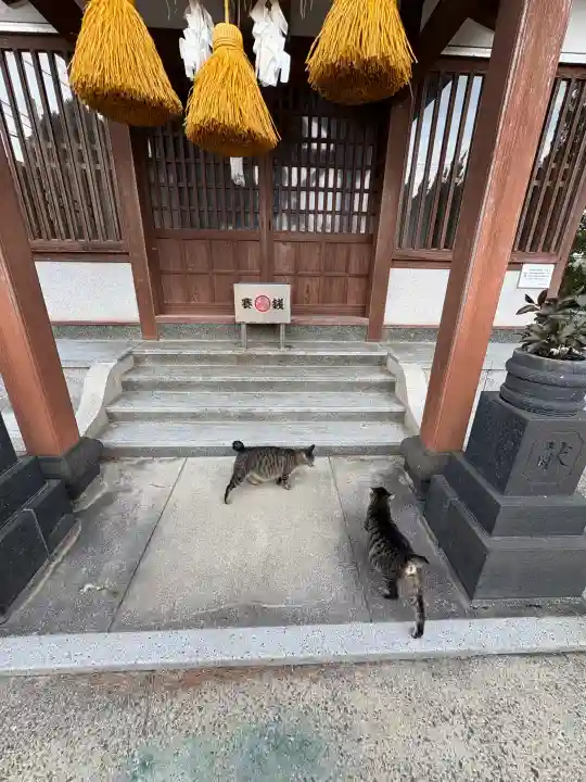 恵比須神社の{uncategorized: "未分類", other: "その他", undefined: "問題あり", building: "その他建物", grave: "お墓", sacred_gate: "鳥居", guardian: "狛犬", statue: "像", buddha: "仏像", history: "歴史", nature: "自然", garden: "庭園", animal: "動物", pagoda: "塔", temizu: "手水舎", mountain_gate: "山門・神門", sanctuary: "本殿・本堂", subordinate: "末社・摂社", art: "芸術", scenery: "景色", jizo: "地蔵", ema: "絵馬", goshuin: "御朱印", omikuji: "おみくじ", items: "授与品その他", amulet: "お守り", goshuincho: "御朱印帳", eats: "食事", festival: "お祭り", votive_dance: "神楽", shichigosan: "七五三参", wedding: "結婚式", experience: "体験その他", initially: "初詣", around: "周辺", anti_infection: "感染症対策"}