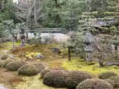 大雄院の庭園