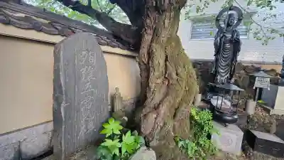 圓乗院の{uncategorized: "未分類", other: "その他", undefined: "問題あり", building: "その他建物", grave: "お墓", sacred_gate: "鳥居", guardian: "狛犬", statue: "像", buddha: "仏像", history: "歴史", nature: "自然", garden: "庭園", animal: "動物", pagoda: "塔", temizu: "手水舎", mountain_gate: "山門・神門", sanctuary: "本殿・本堂", subordinate: "末社・摂社", art: "芸術", scenery: "景色", jizo: "地蔵", ema: "絵馬", goshuin: "御朱印", omikuji: "おみくじ", items: "授与品その他", amulet: "お守り", goshuincho: "御朱印帳", eats: "食事", festival: "お祭り", votive_dance: "神楽", shichigosan: "七五三参", wedding: "結婚式", experience: "体験その他", initially: "初詣", around: "周辺", anti_infection: "感染症対策"}