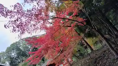 出雲大神宮(京都府)