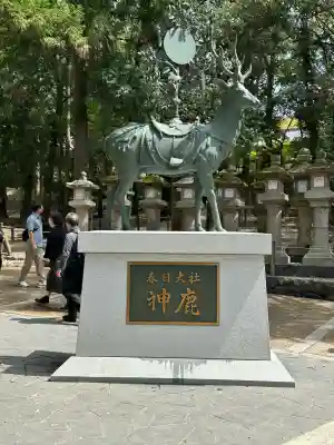 春日大社(奈良県)