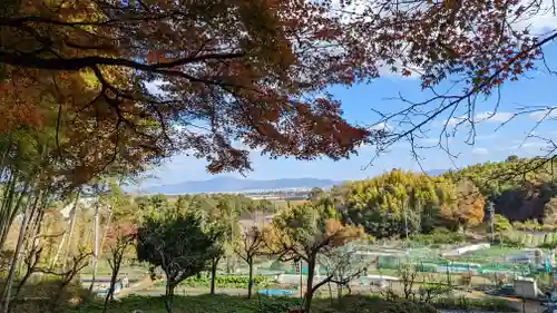 観音寺(京都府)