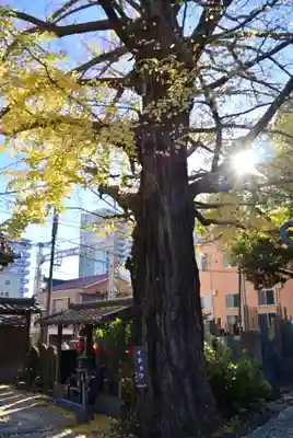 遍照院(神奈川県)