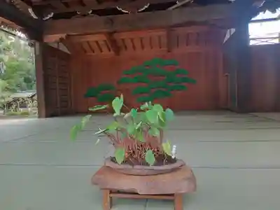 道明寺天満宮(大阪府)