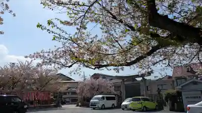 六孫王神社(京都府)