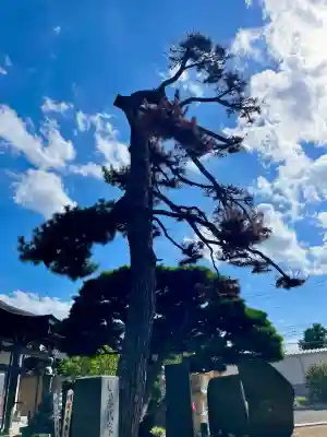 宝蔵院(千葉県)