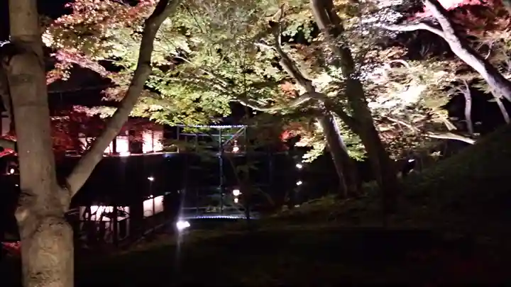 高台寺(高台寿聖禅寺・高臺寺)の庭園