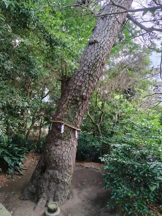 第六天神社(神奈川県)