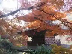 金剛院(京都府)