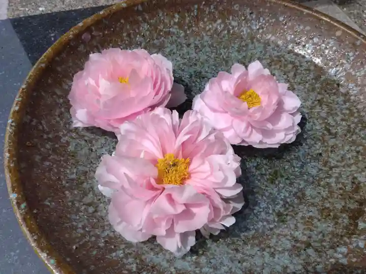 安養寺(福井県)