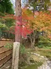 慈照寺（慈照禅寺・銀閣寺）の自然