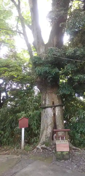 大鷲神社の自然