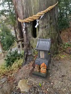 阿久津「田村神社」（郡山市阿久津町）旧社名：伊豆箱根三嶋三社(福島県)