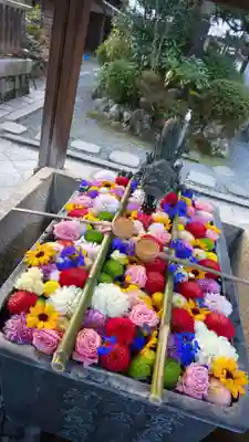 柳谷観音 楊谷寺の手水舎