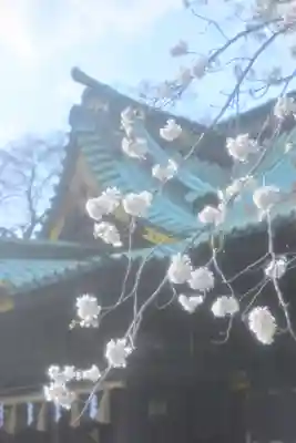 三嶋大社(静岡県)