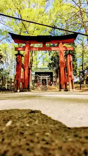 調神社の鳥居