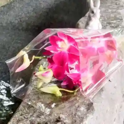 彌彦神社　(伊夜日子神社)の手水舎