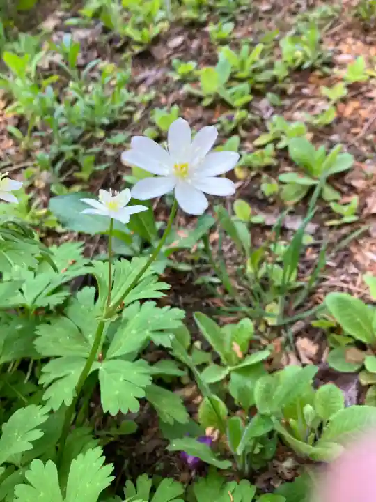 相内神社(北海道)