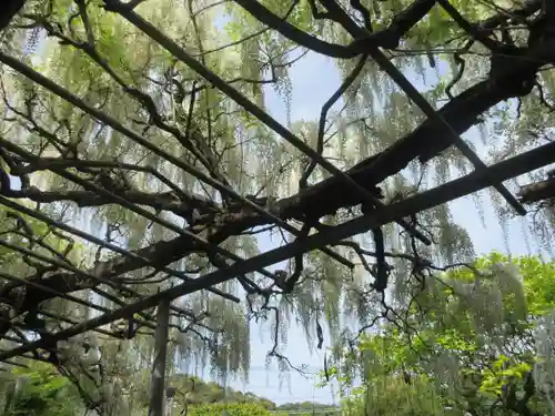 英勝寺の庭園