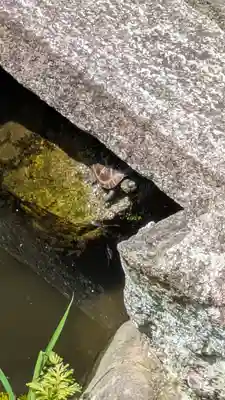宝蔵寺(京都府)