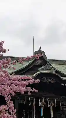 桜神宮(東京都)