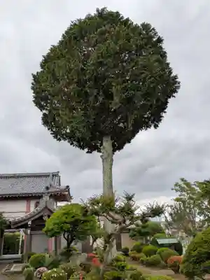 円通寺(岐阜県)