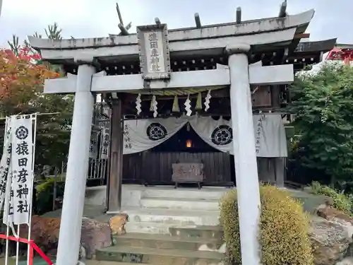 猿田彦神社の鳥居