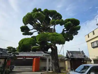 空圓寺(大阪府)