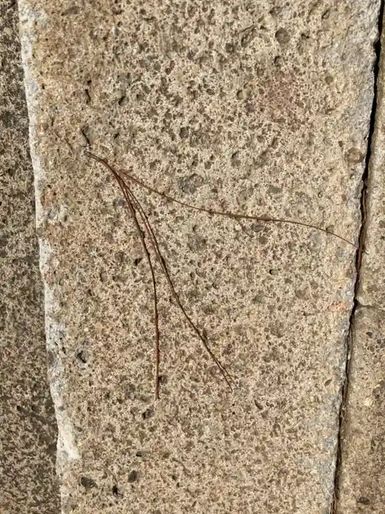 酒見寺(兵庫県)