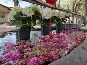 美奈宜神社(福岡県)(2025年04月13日(日) 15時31分43秒投稿)