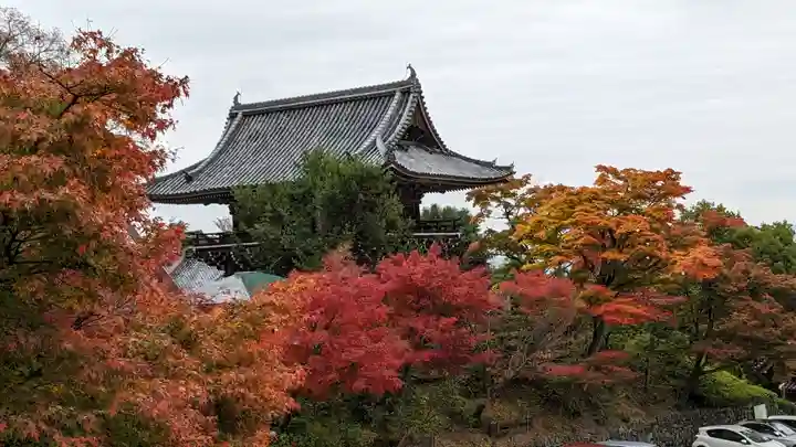 善峯寺(京都府)