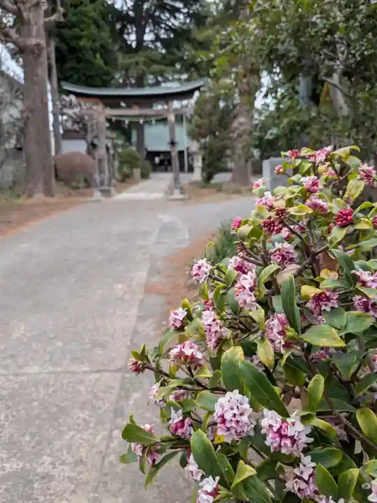 田端神社(東京都)
