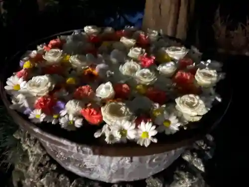 武蔵一宮氷川神社(埼玉県)