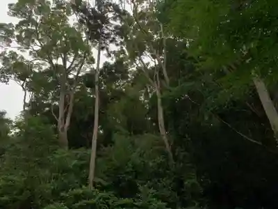 愛宕神社の自然