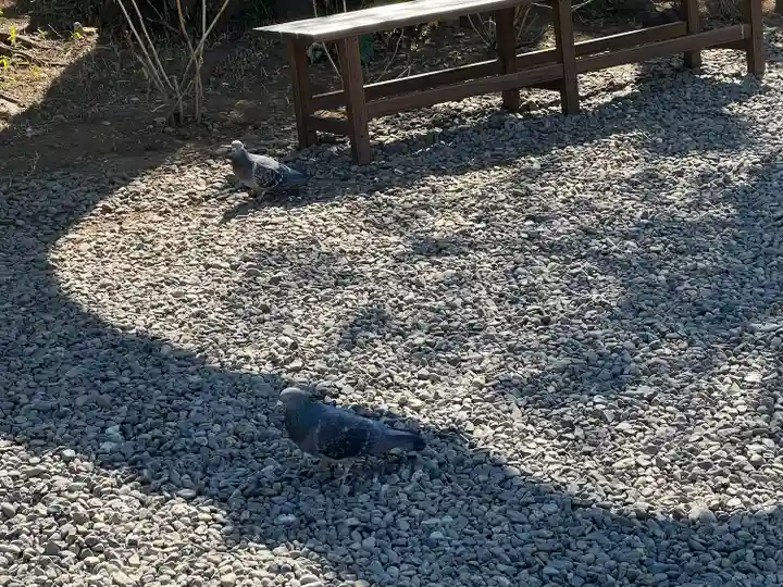 本郷氷川神社(東京都)
