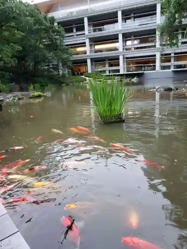 東郷神社(東京都)