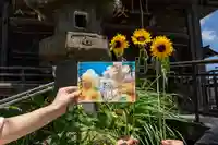 秩父札所十三番 慈眼寺の御朱印