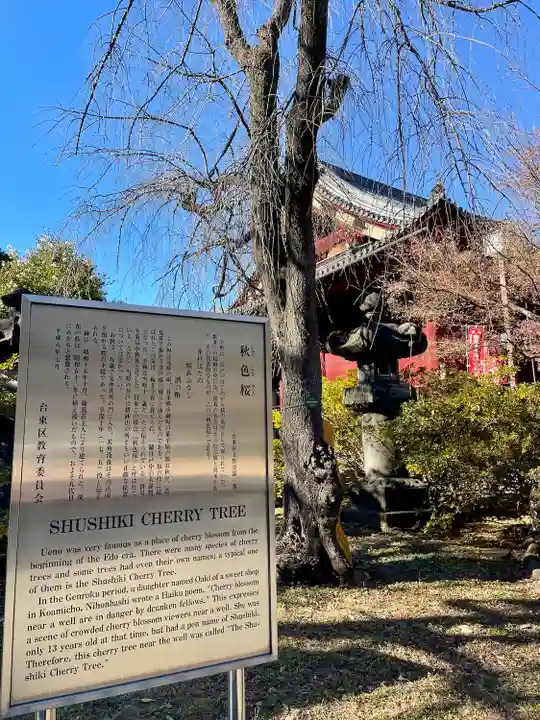 清水観音堂(東京都)