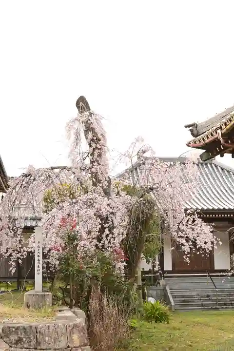 無量寺(愛媛県)