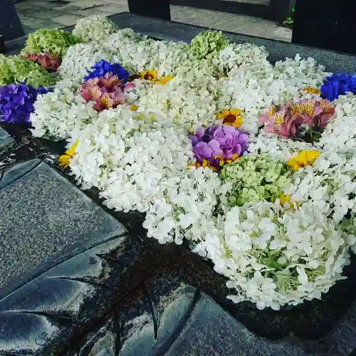 正覚院の手水舎