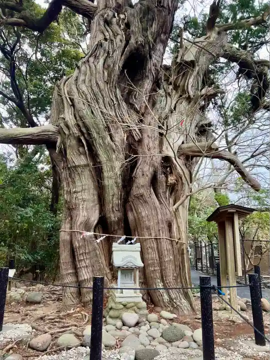大瀬神社(静岡県)